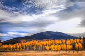 Aspens and Mt. Humphreys-.jpg Aspens and Mt. Humphreys-.jpg
